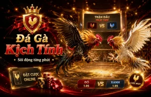 Giao diện sảnh Đá Gà ywodv036